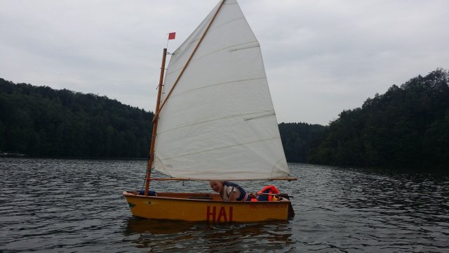 Segelausbildung der Optimisten auf der Talsperre Kriebstein