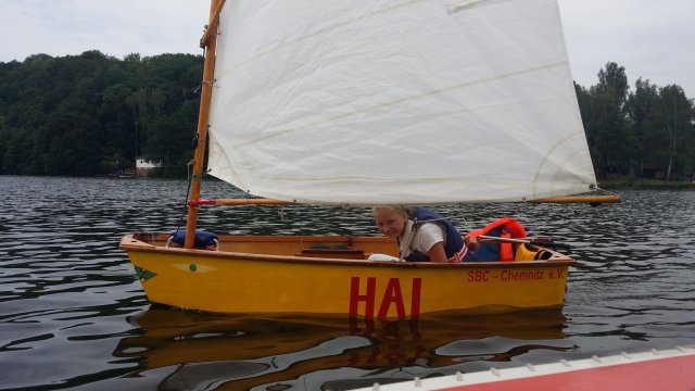 Segelausbildung der Optimisten auf der Talsperre Kriebstein