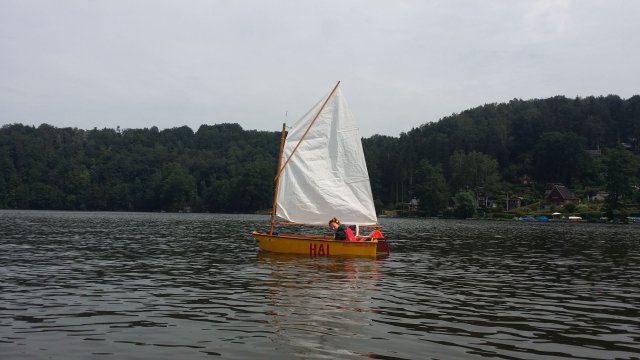 Segelausbildung der Optimisten auf der Talsperre Kriebstein